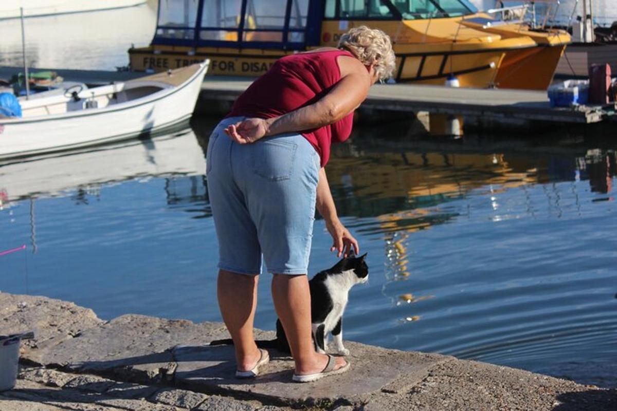 Φωτογραφία αξιοθέατου 3