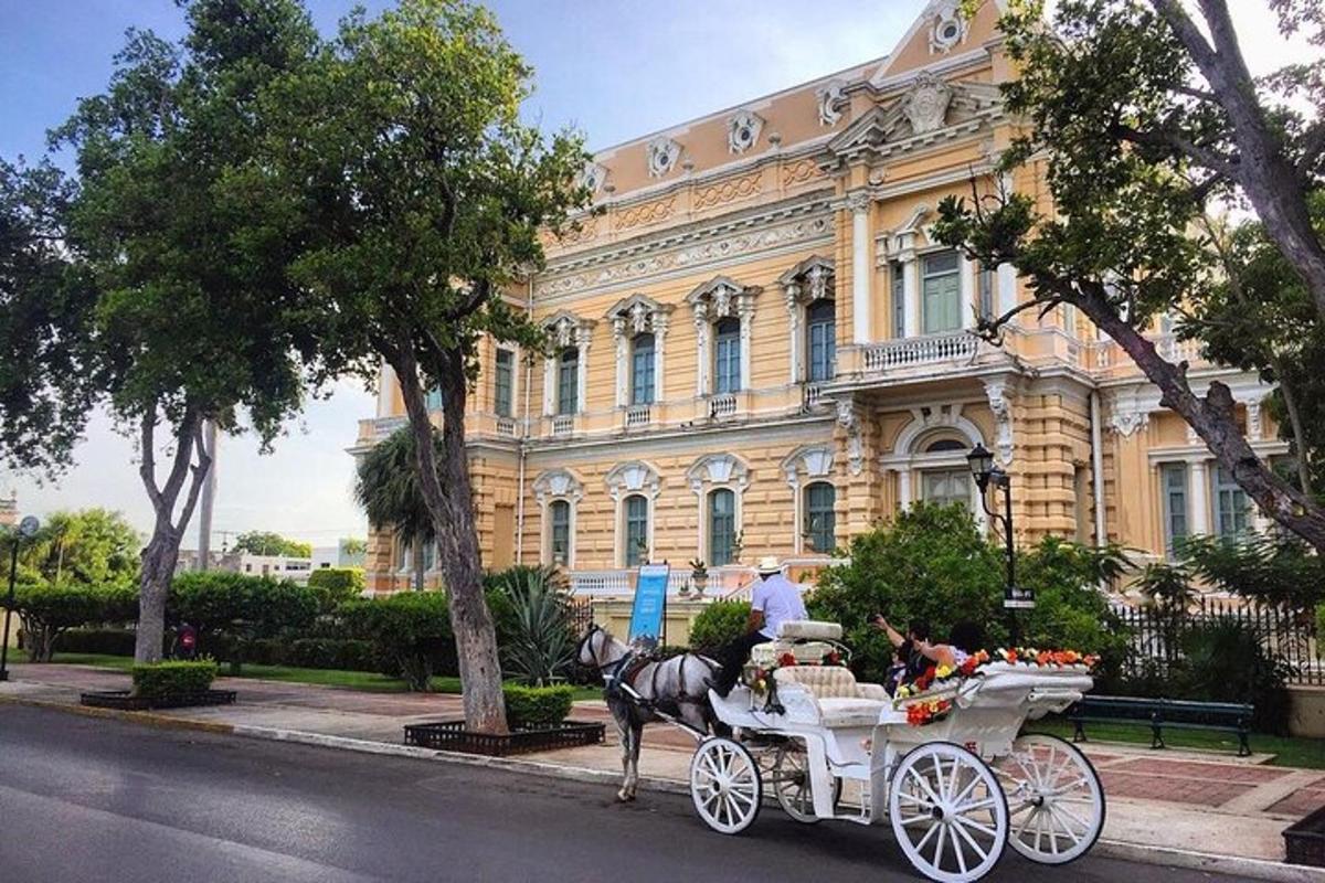 o trăsură trasă de cai parcată în fața unei clădiri