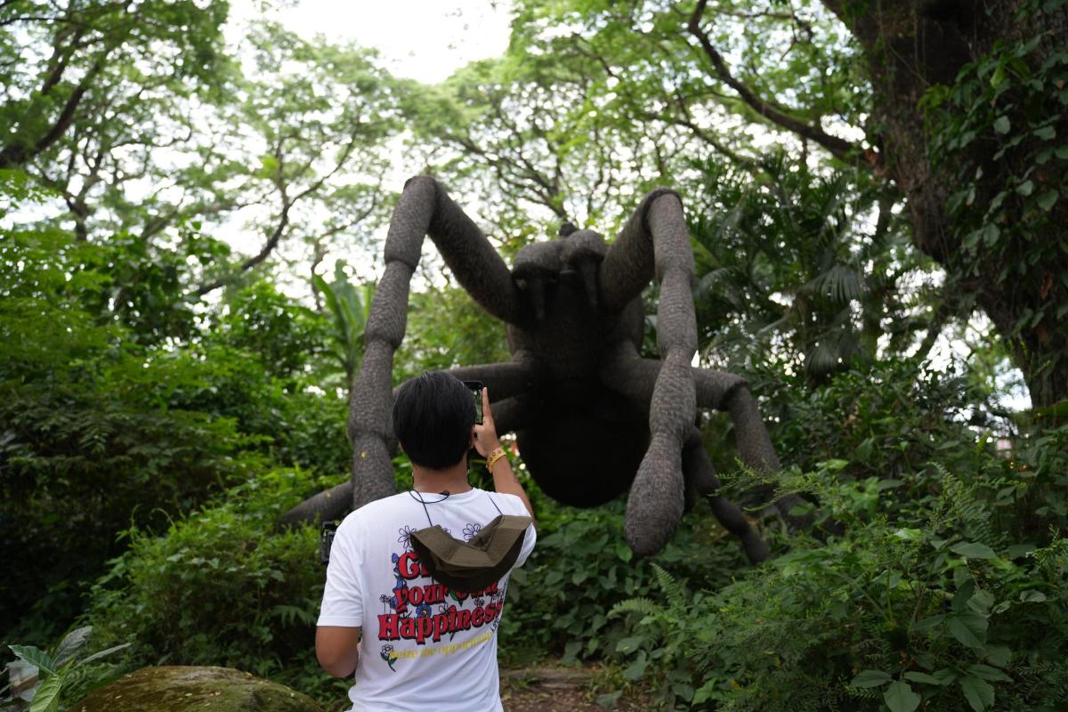 Fotografia da atração 4