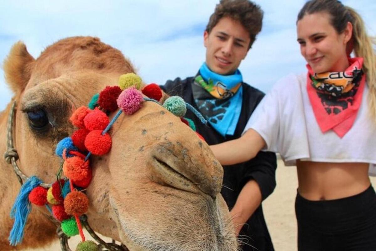muž a žena stojící vedle velblouda