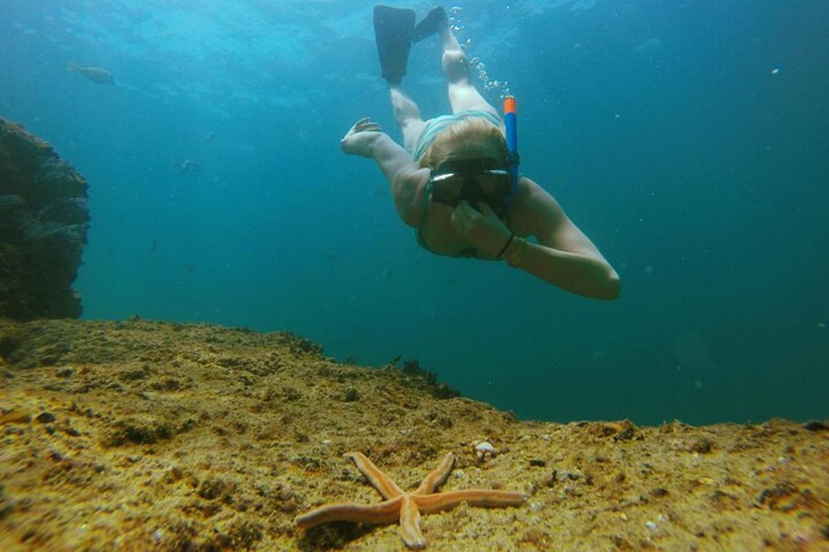una persona sta nuotando nell'oceano vicino a una stella marina