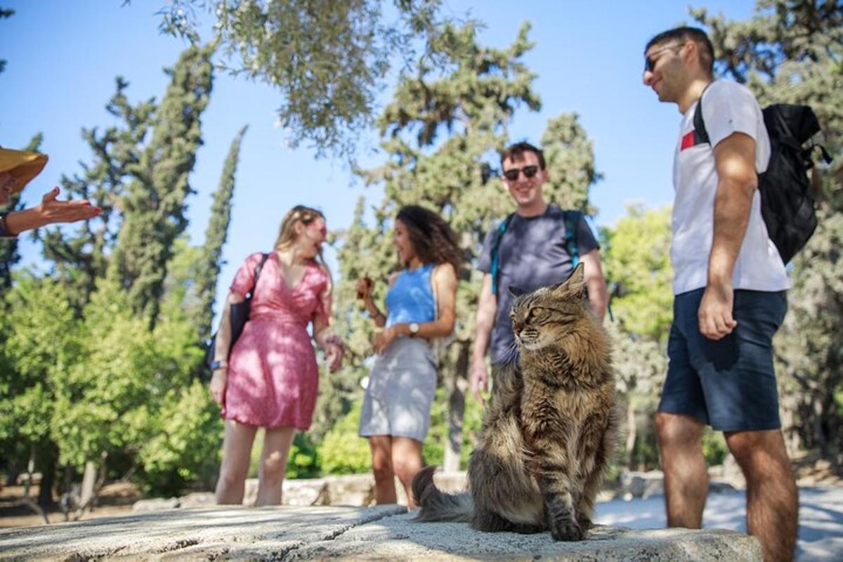 Un grupo de personas de pie alrededor de un gato en una roca.