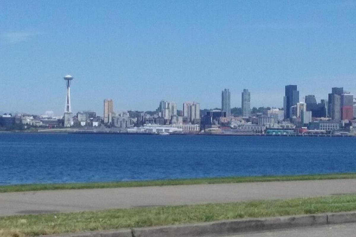 a view of a city with a large body of water