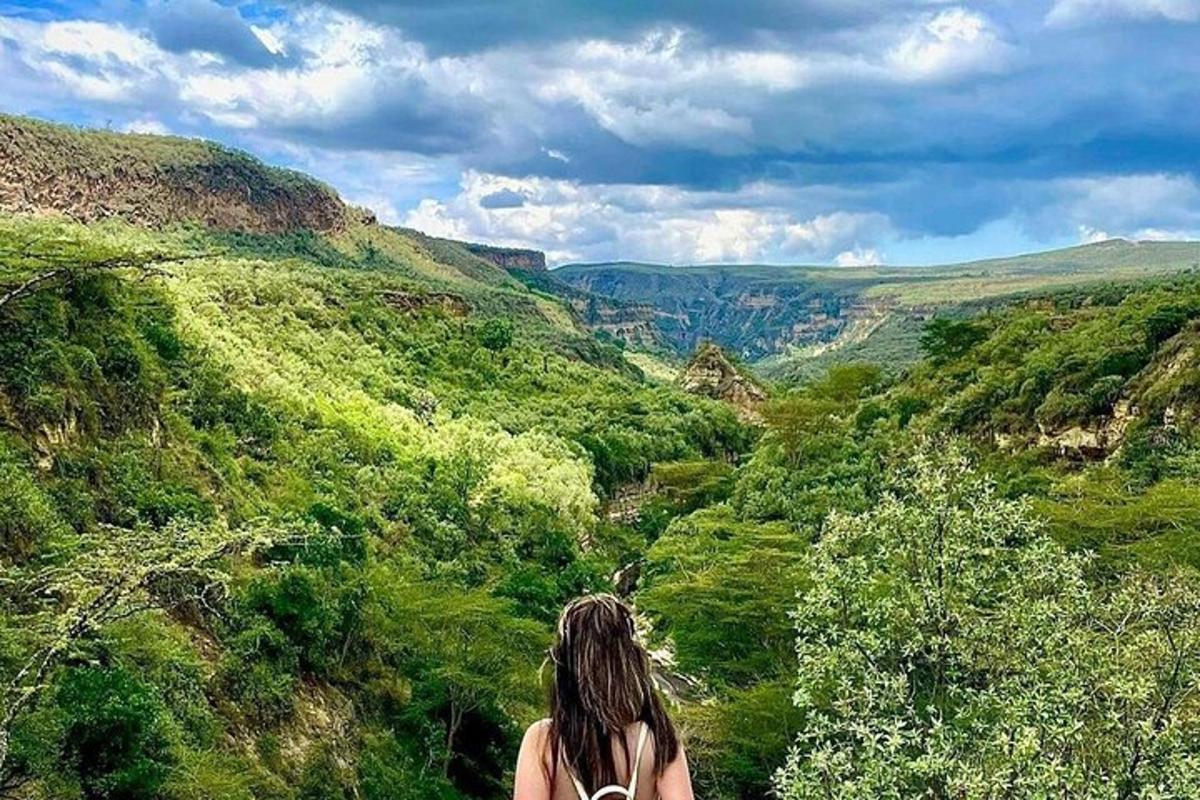 egy nő, aki egy hegyen áll, és egy völgyre néz