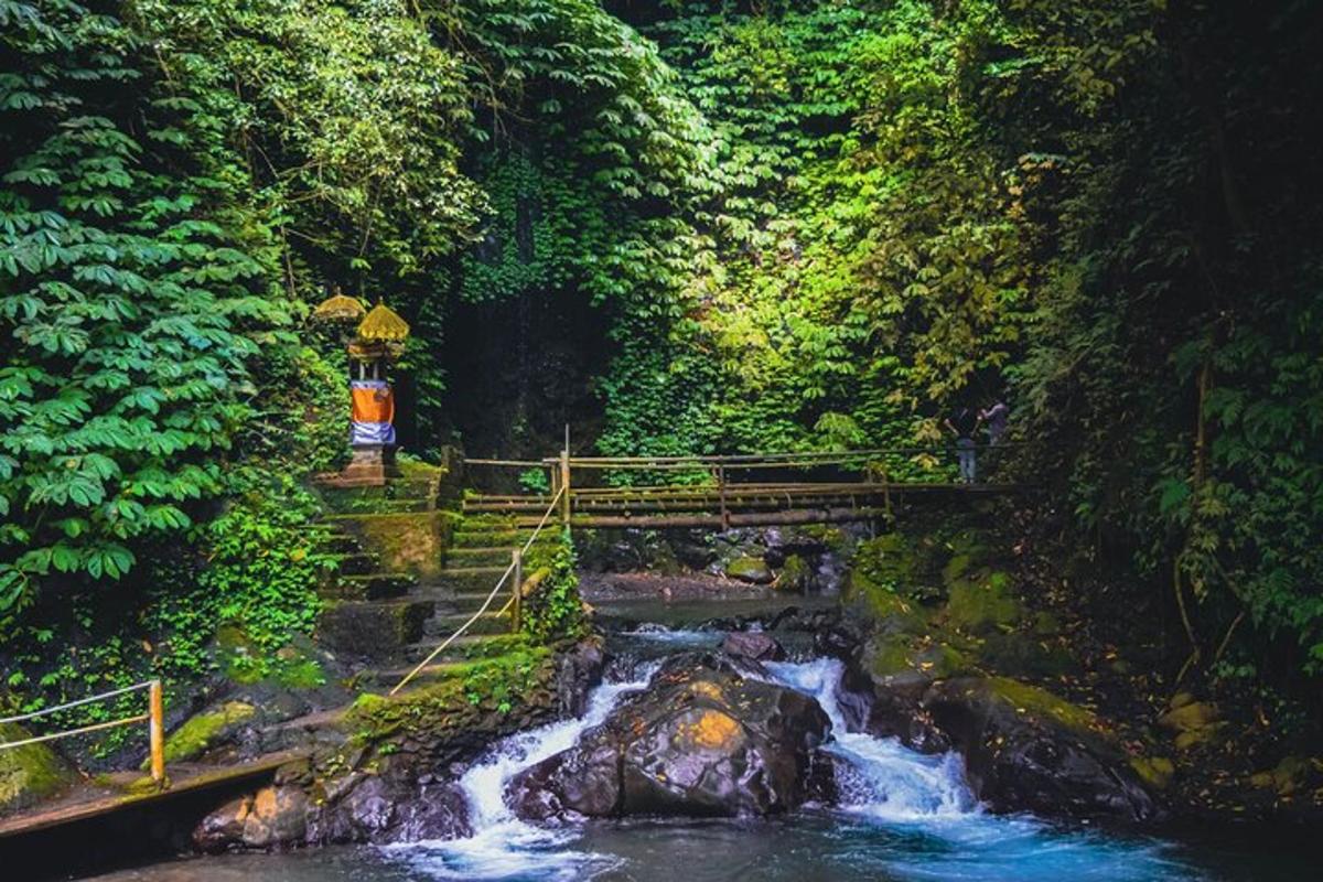 uma ponte sobre um rio em uma floresta