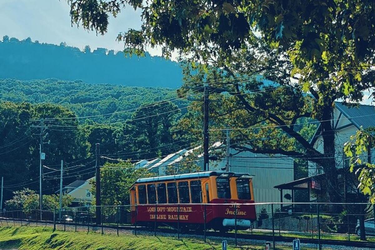 Fotografia 5 a atracției