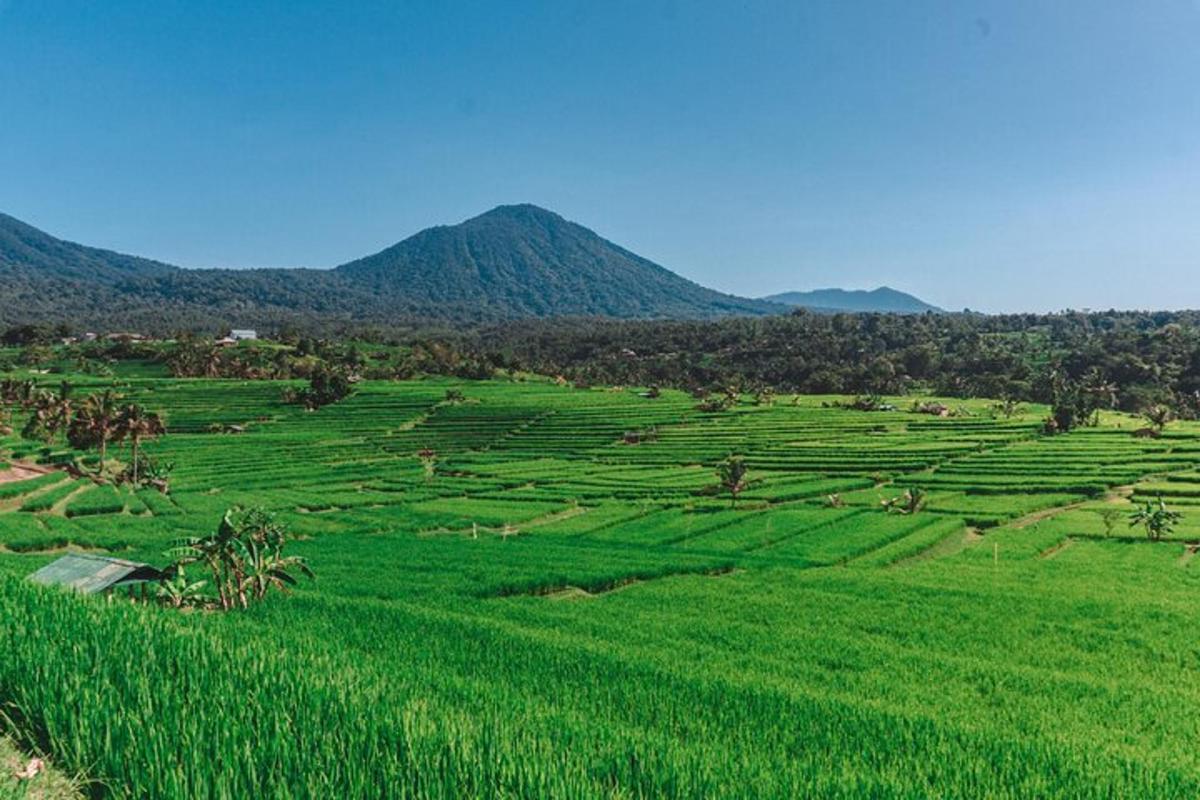 um grande campo verde com montanhas ao fundo