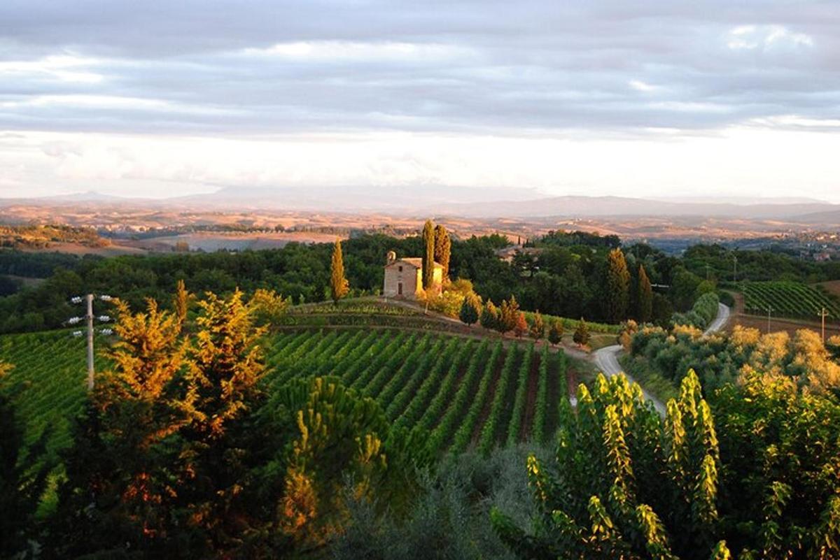 un domaine sur une colline avec un vignoble