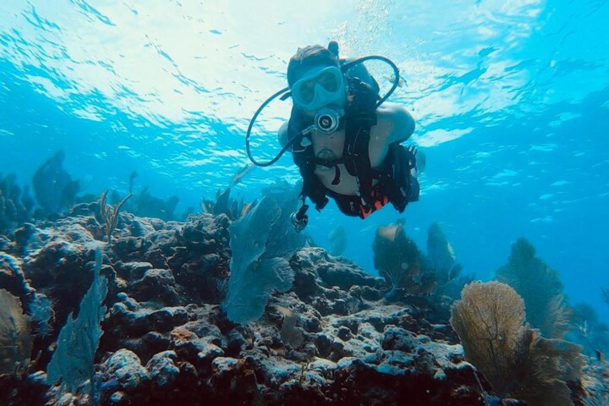 Lankytinos vietos ar pramogos nuotrauka numeris 7