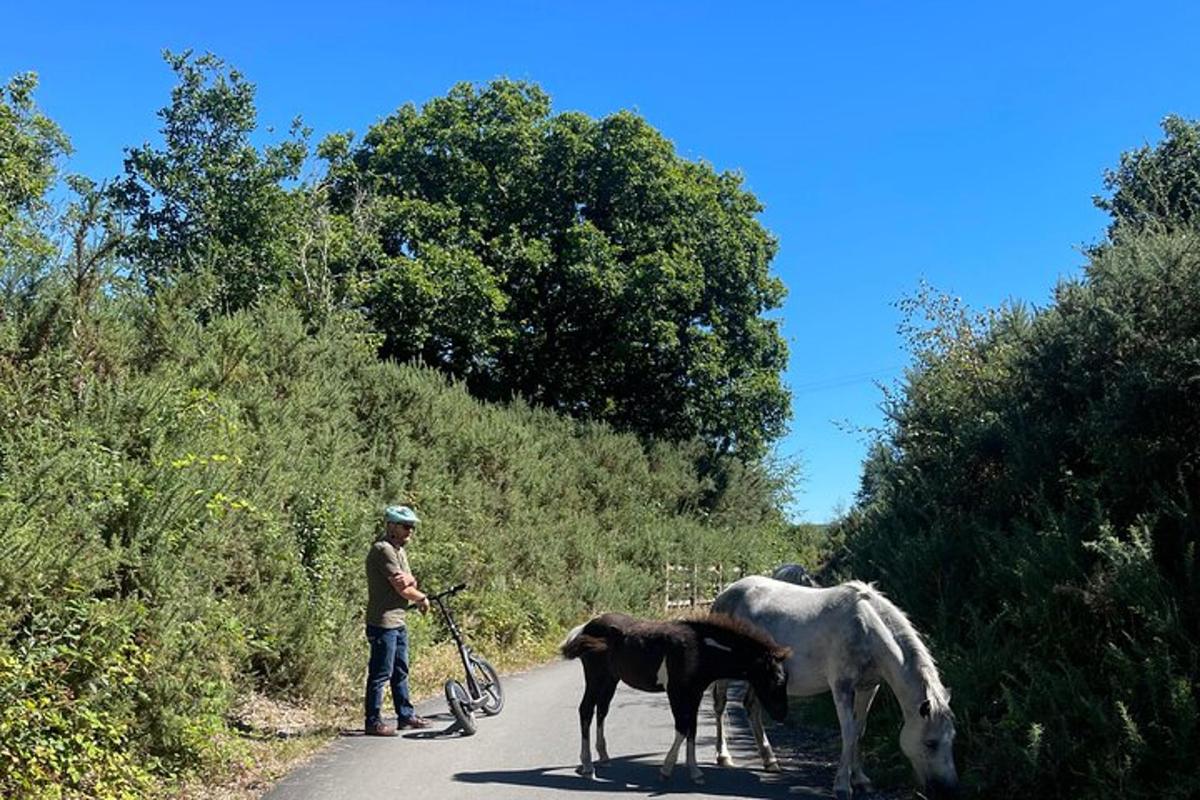 Fotografia da atração 4