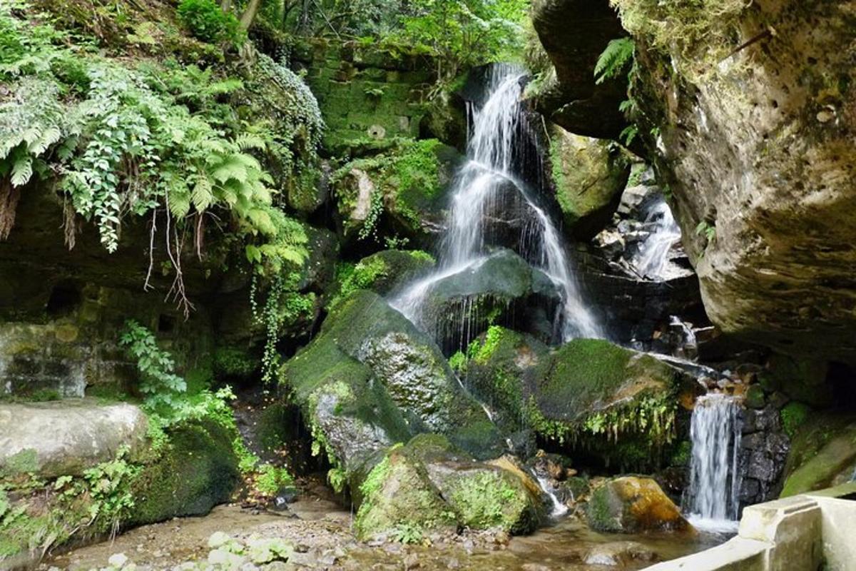 air terjun di dalam hutan dengan batu dan pokok