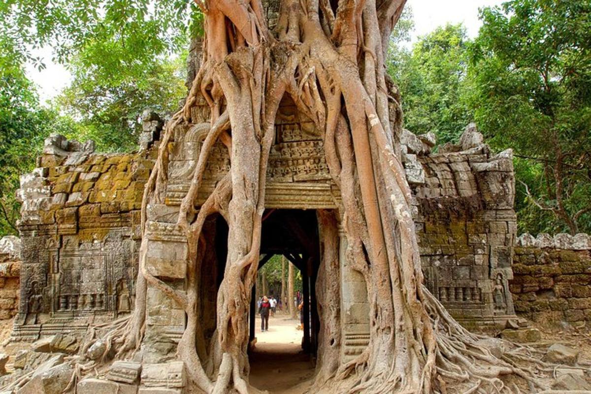 Un edificio con un árbol creciendo encima.