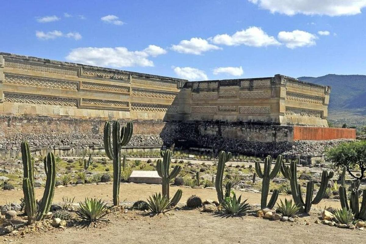 a large building with cactuses in front of it