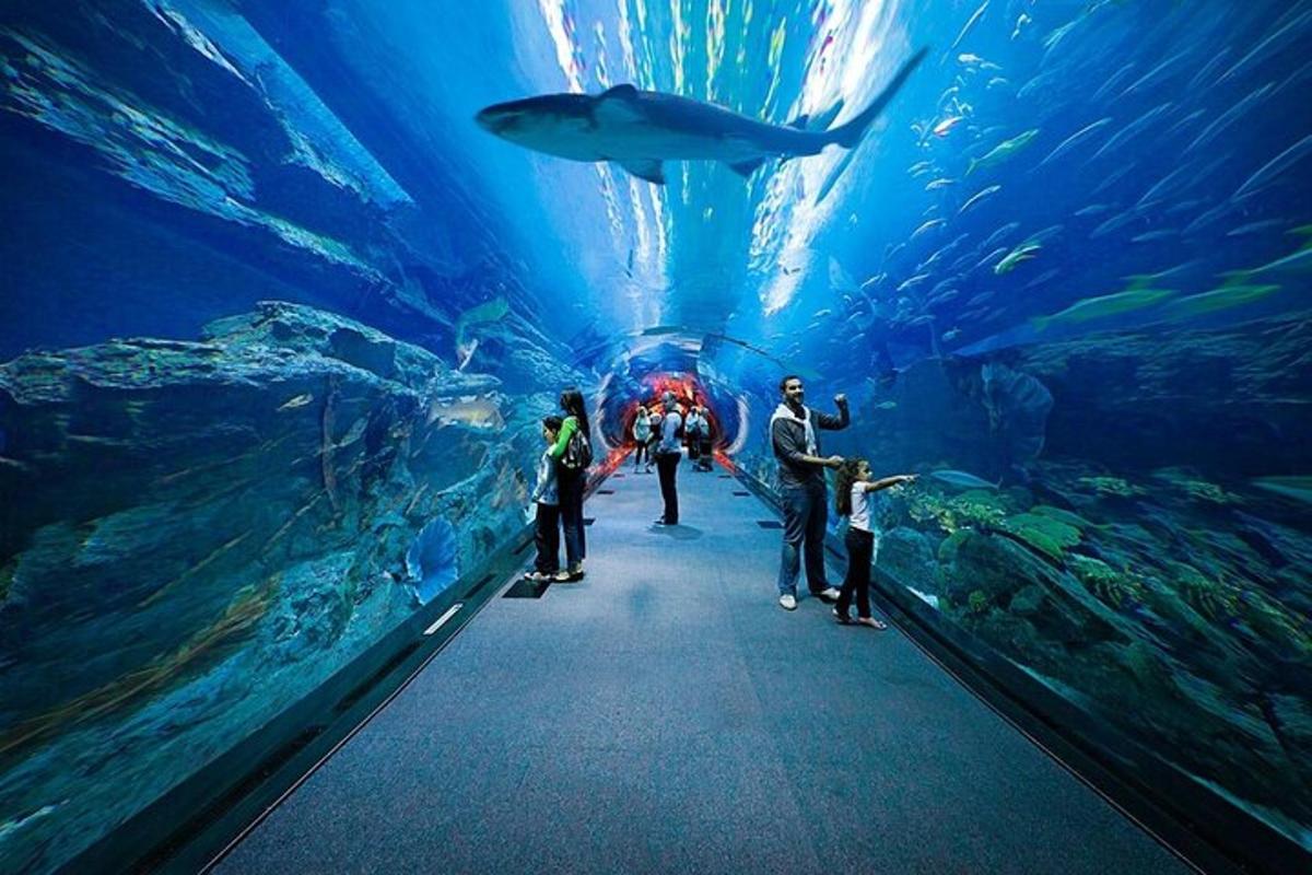 Attraction picture 7