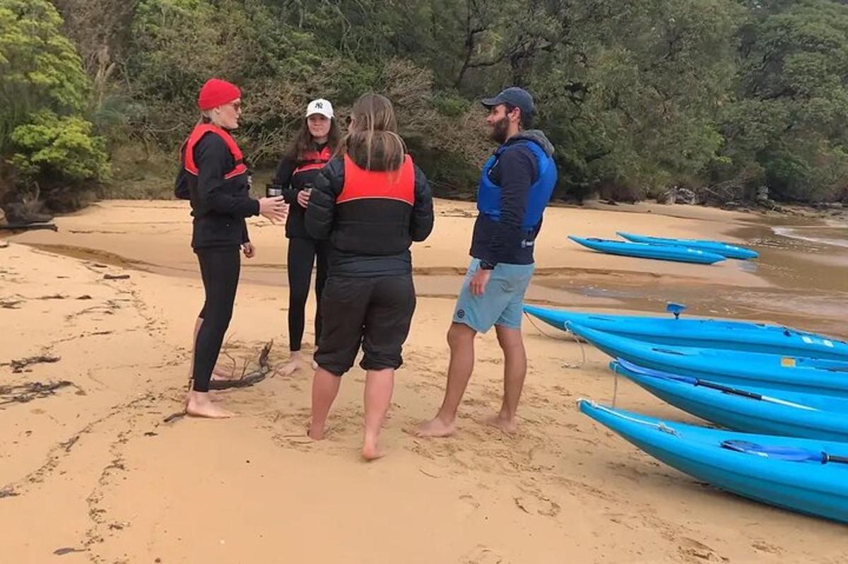 skupina ljudi, ki stojijo na plaži poleg kajakov