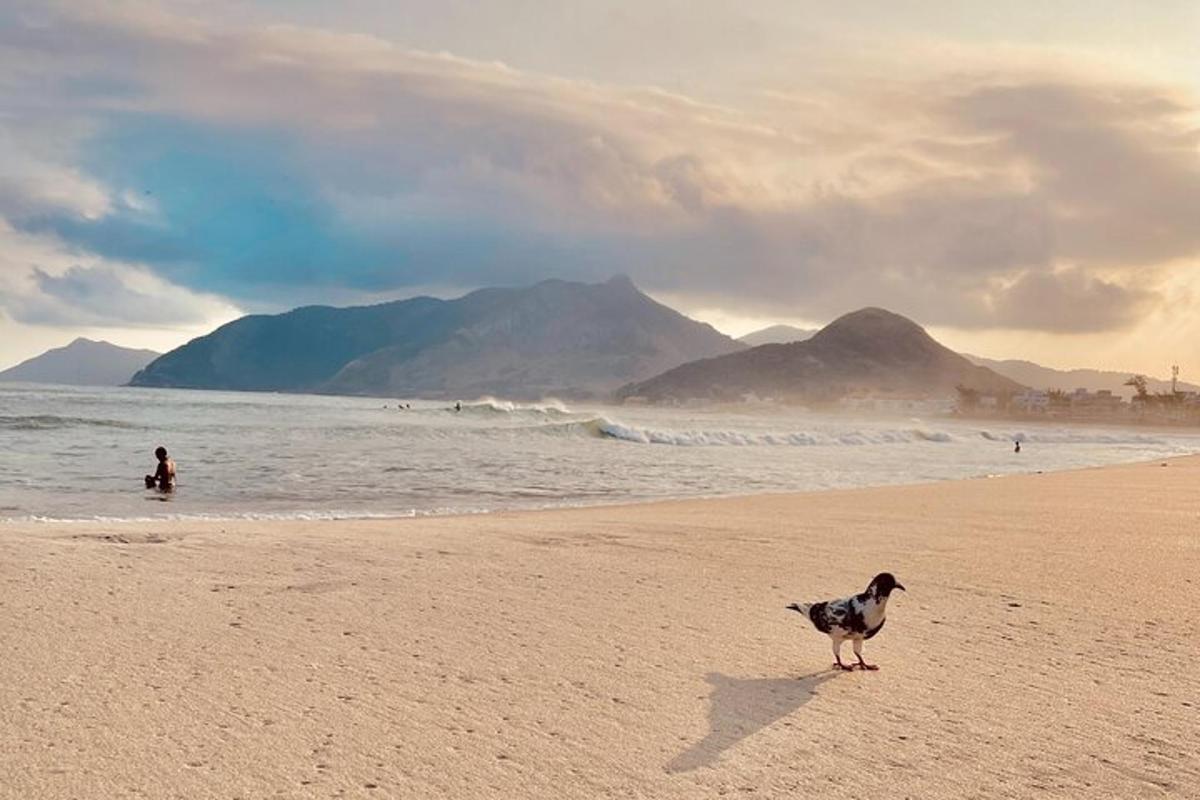 ptica, ki stoji na plaži blizu oceana