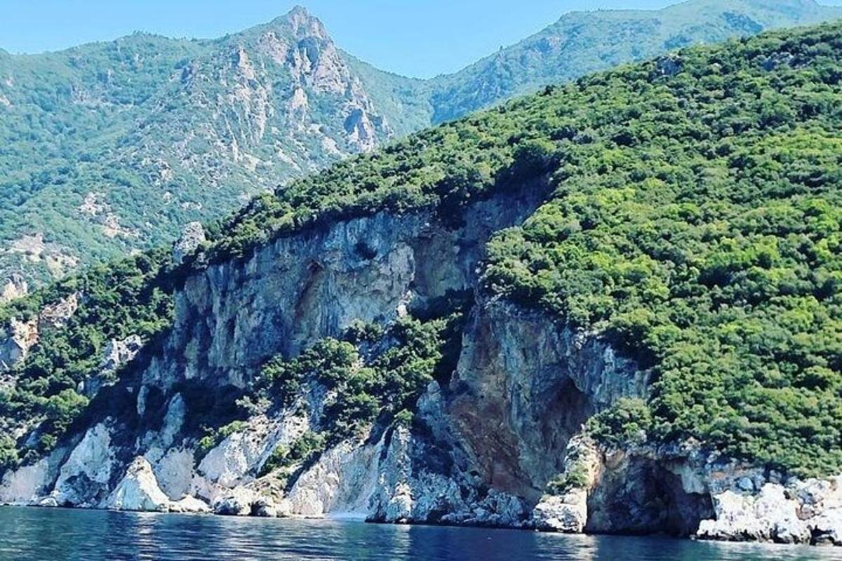 una montaña con árboles al lado del agua