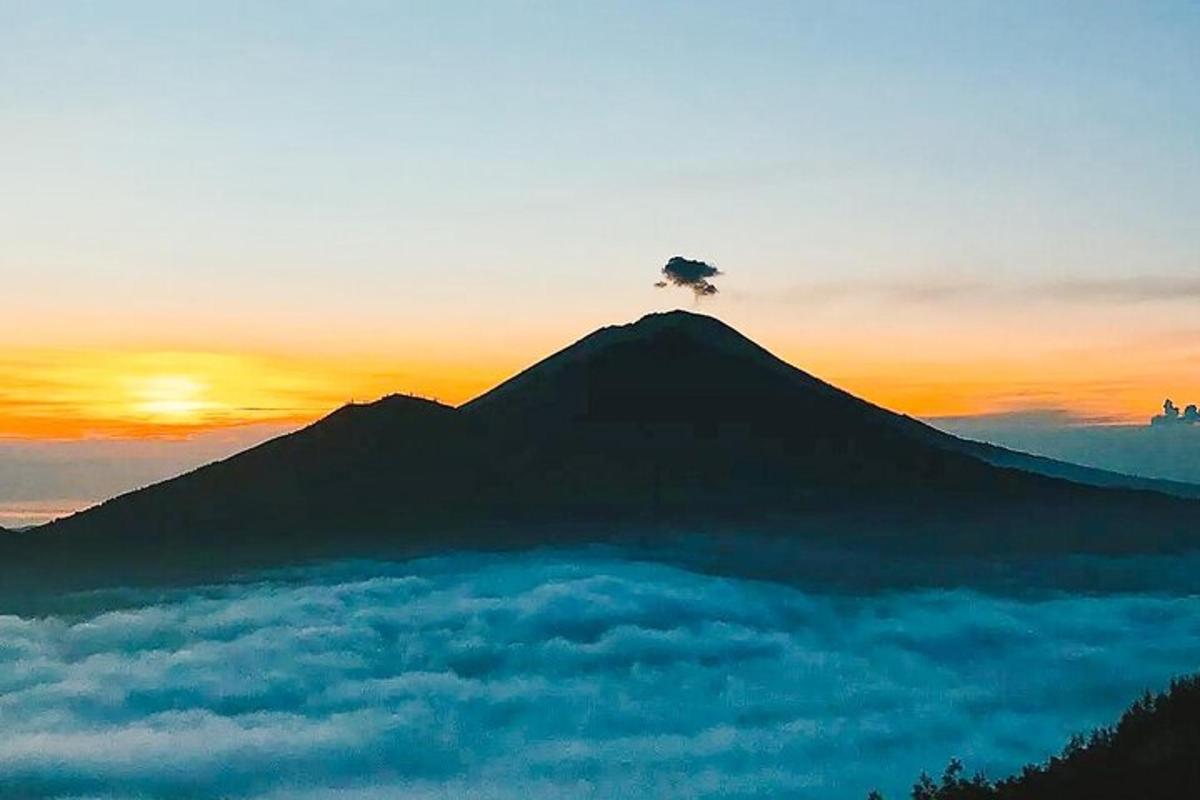 a tree on top of a mountain at sunset