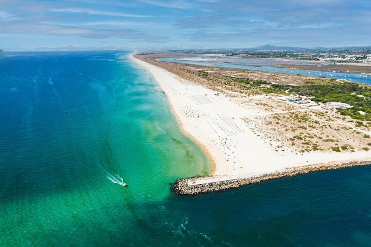 una vista aerea di una spiaggia nell'oceano