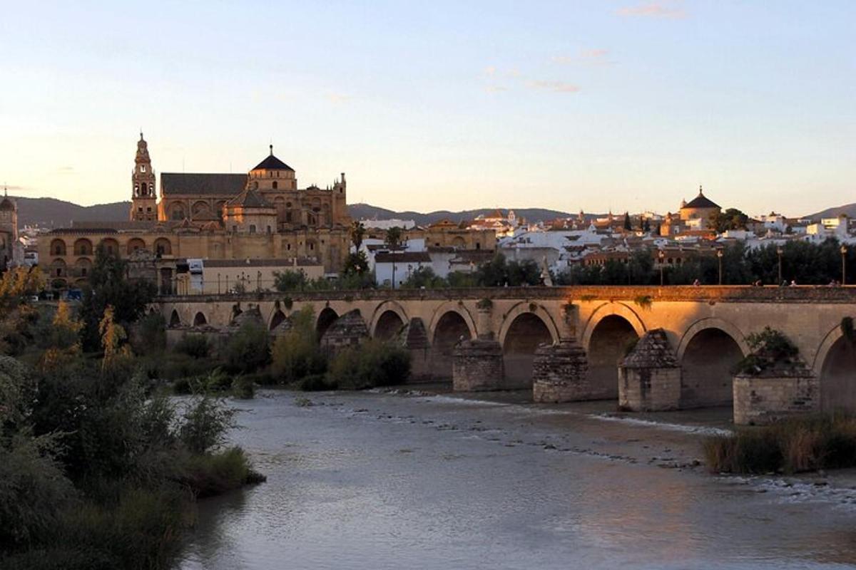 un ponte sopra un fiume con una città sullo sfondo