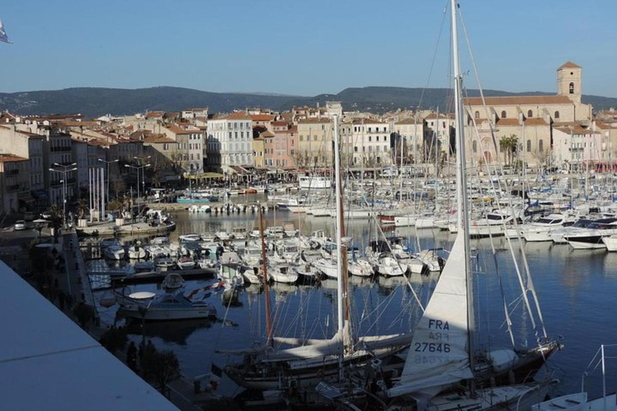 o grămadă de bărci acostate într-un port