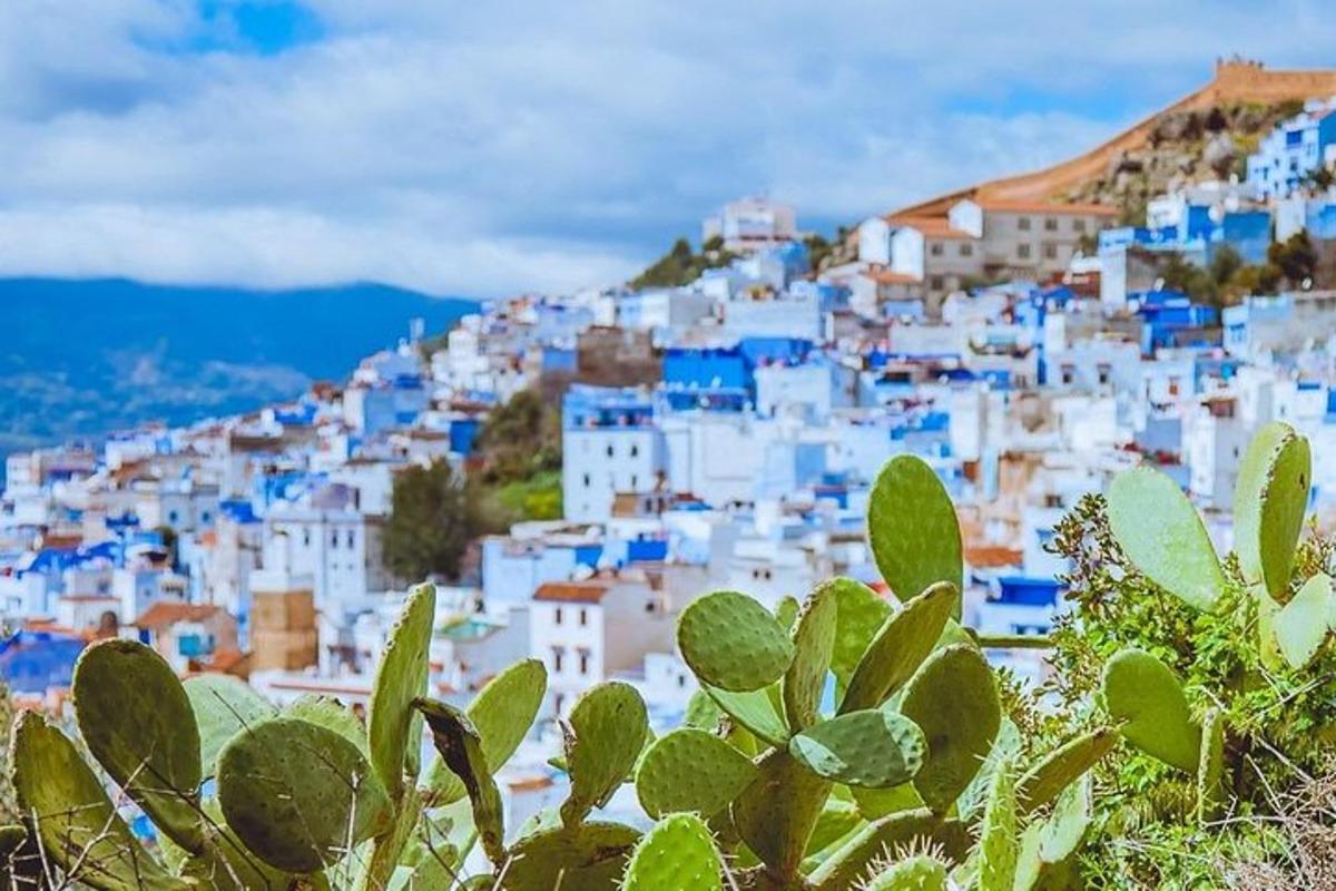 una vista d'una ciutat blava i blanca amb un cactus