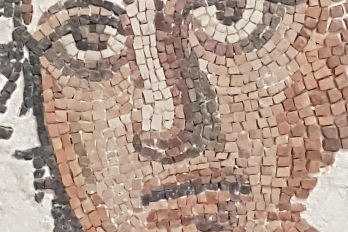 detail mozaiky toalety
