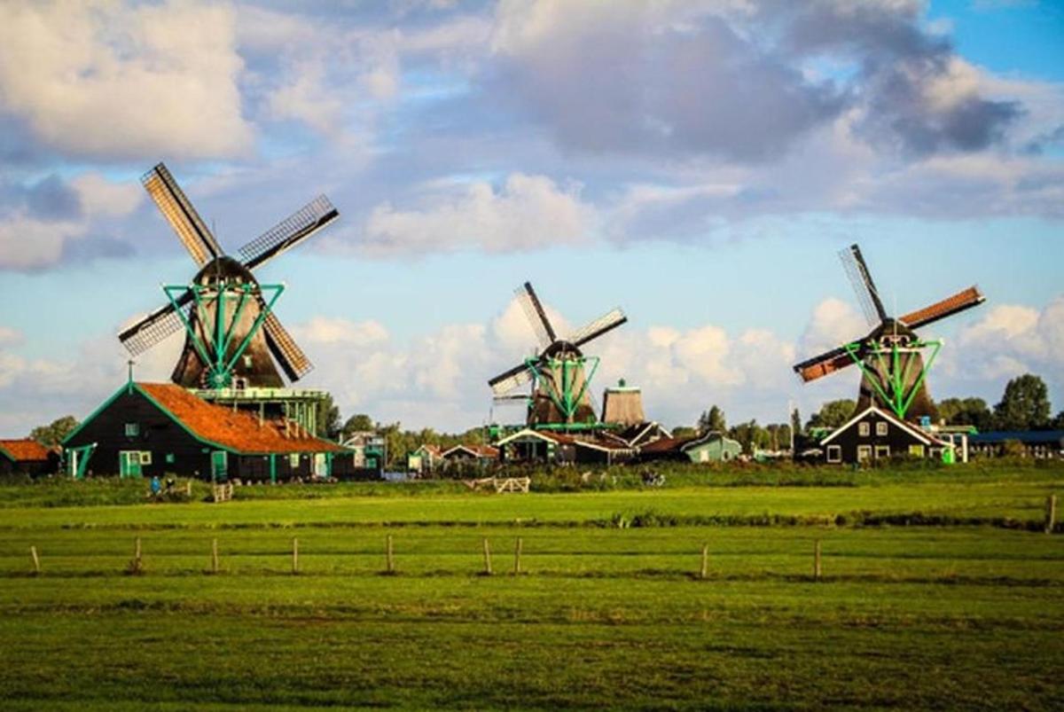a group of windmills in a field with buildings