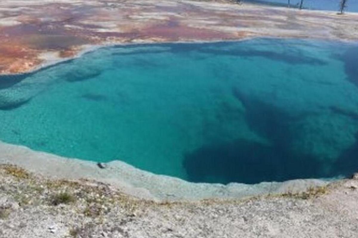 Lankytinos vietos ar pramogos nuotrauka numeris 3