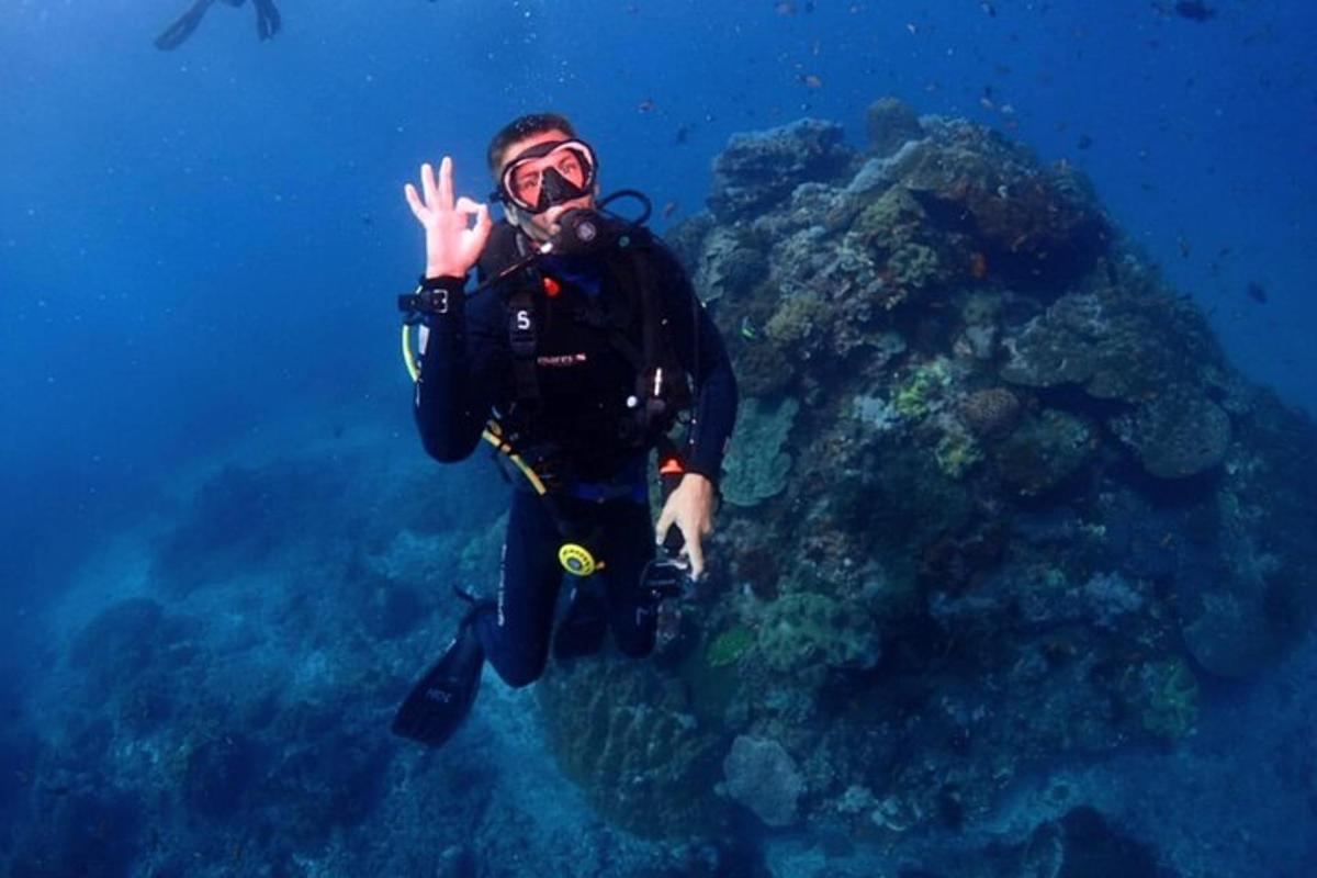 a man in a diver suit standing next to a reef