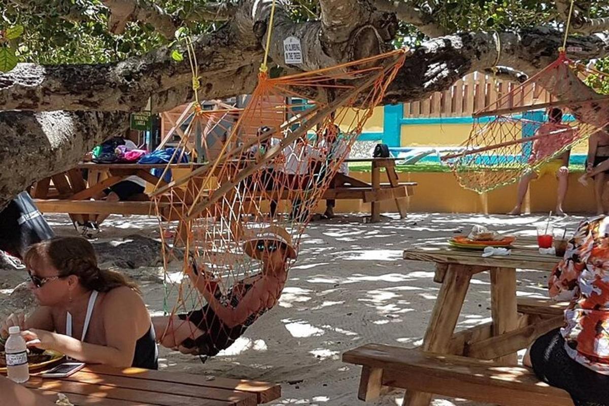 seorang wanita duduk di atas bangku di bawah pokok dengan buaian