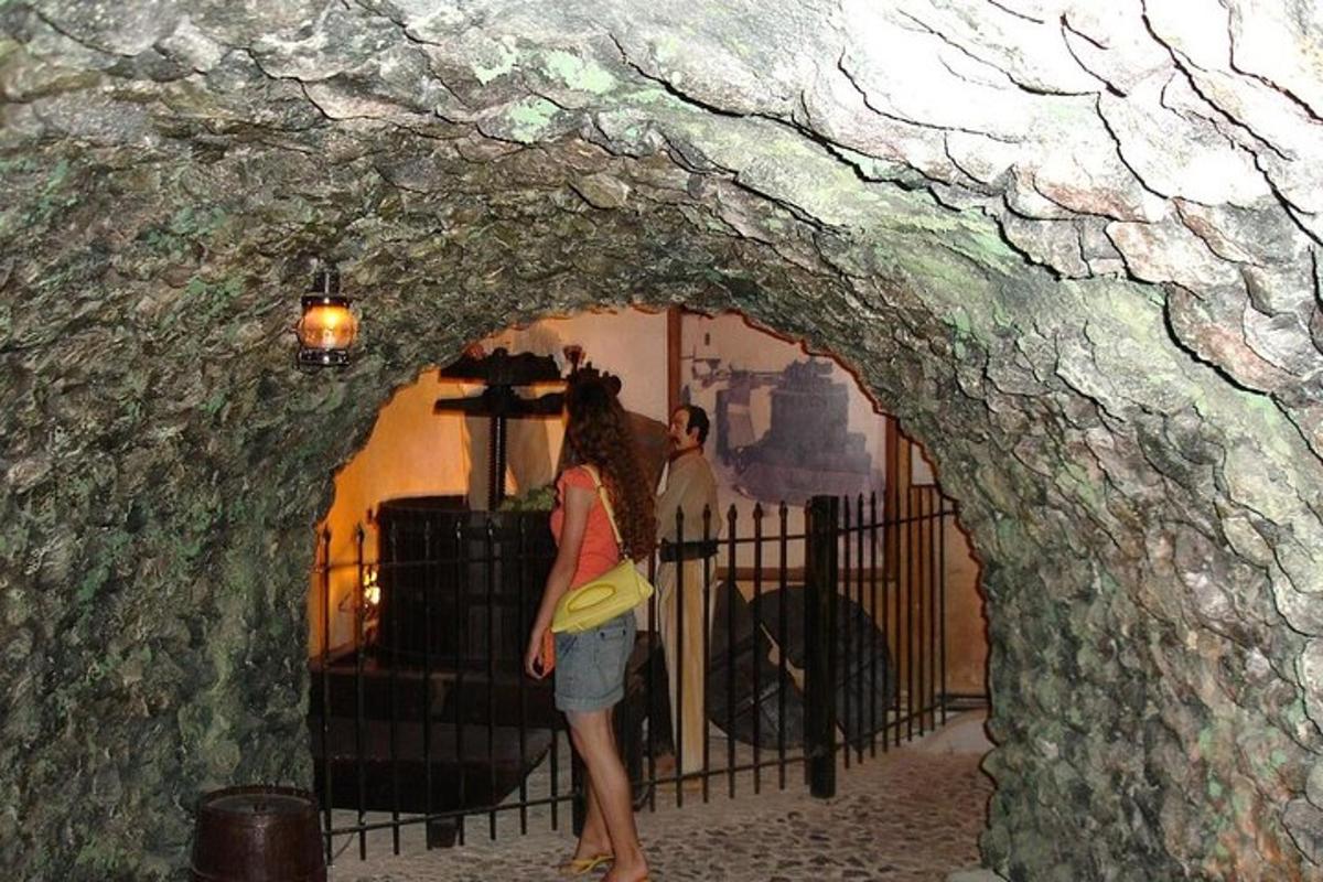 una donna che guarda attraverso un arco di pietra verso una recinzione