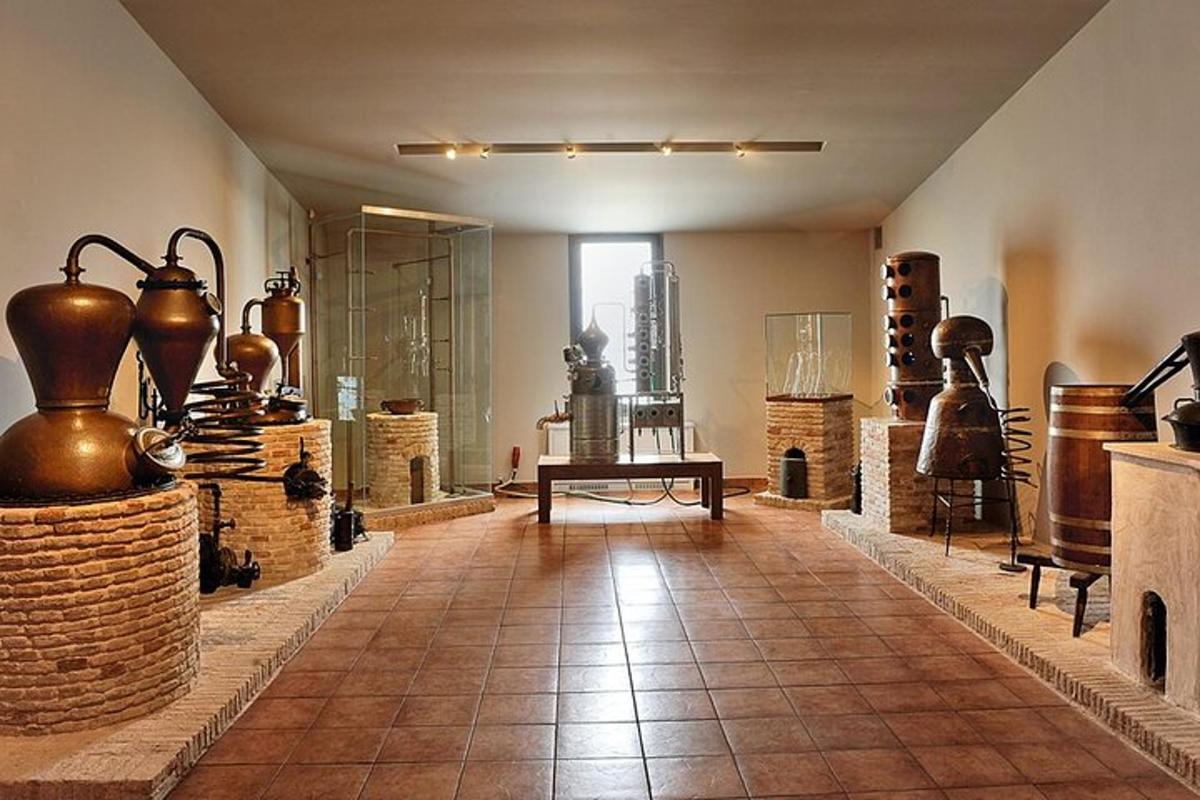 místnost s vystavenými artefakty v muzeu
