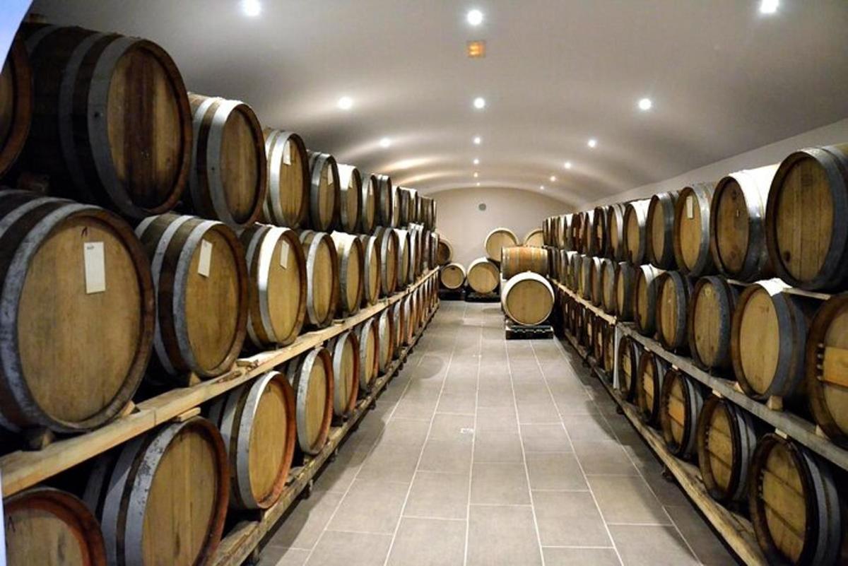una fila di botti in una cantina vinicola