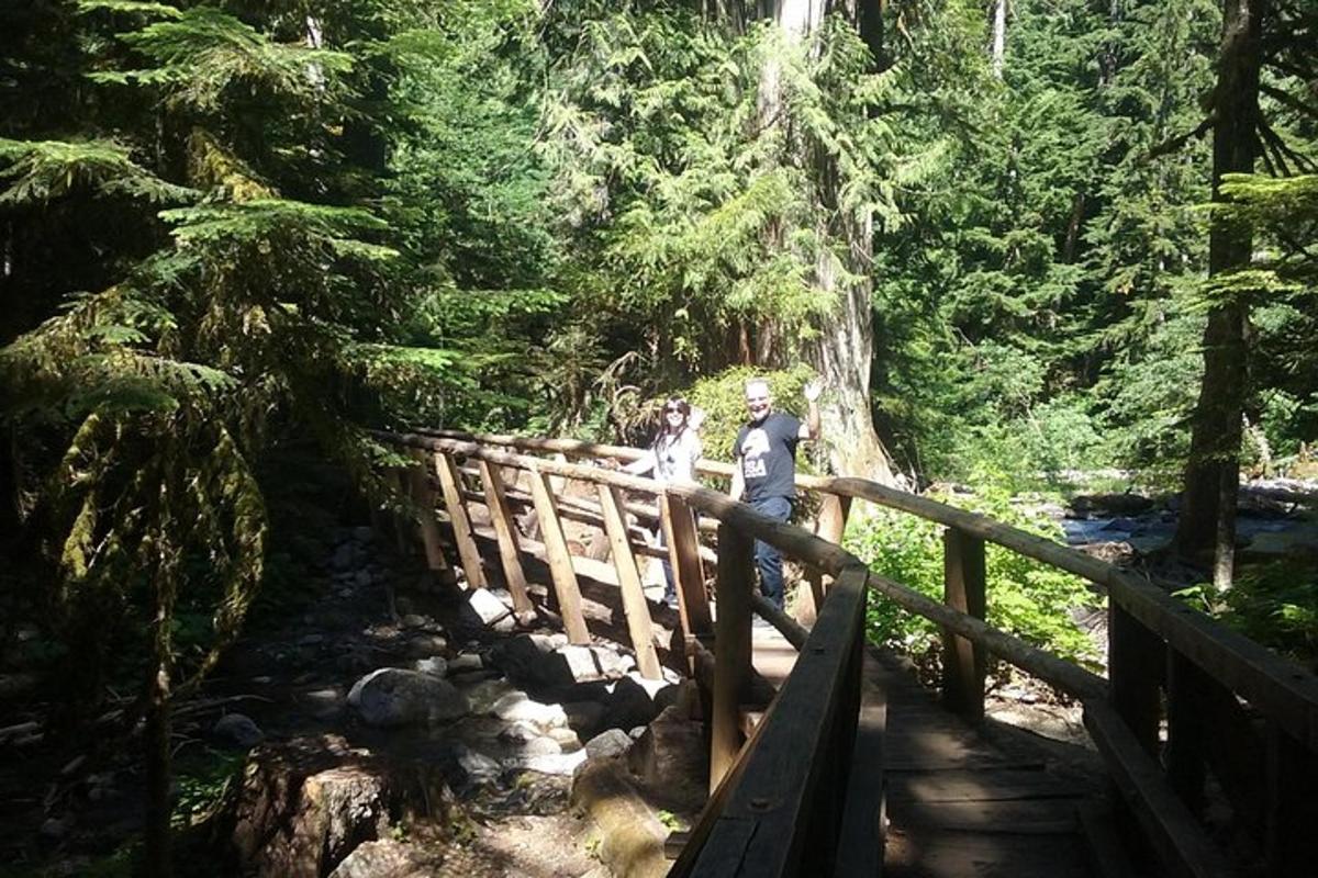 dues persones dempeus en un pont en un bosc