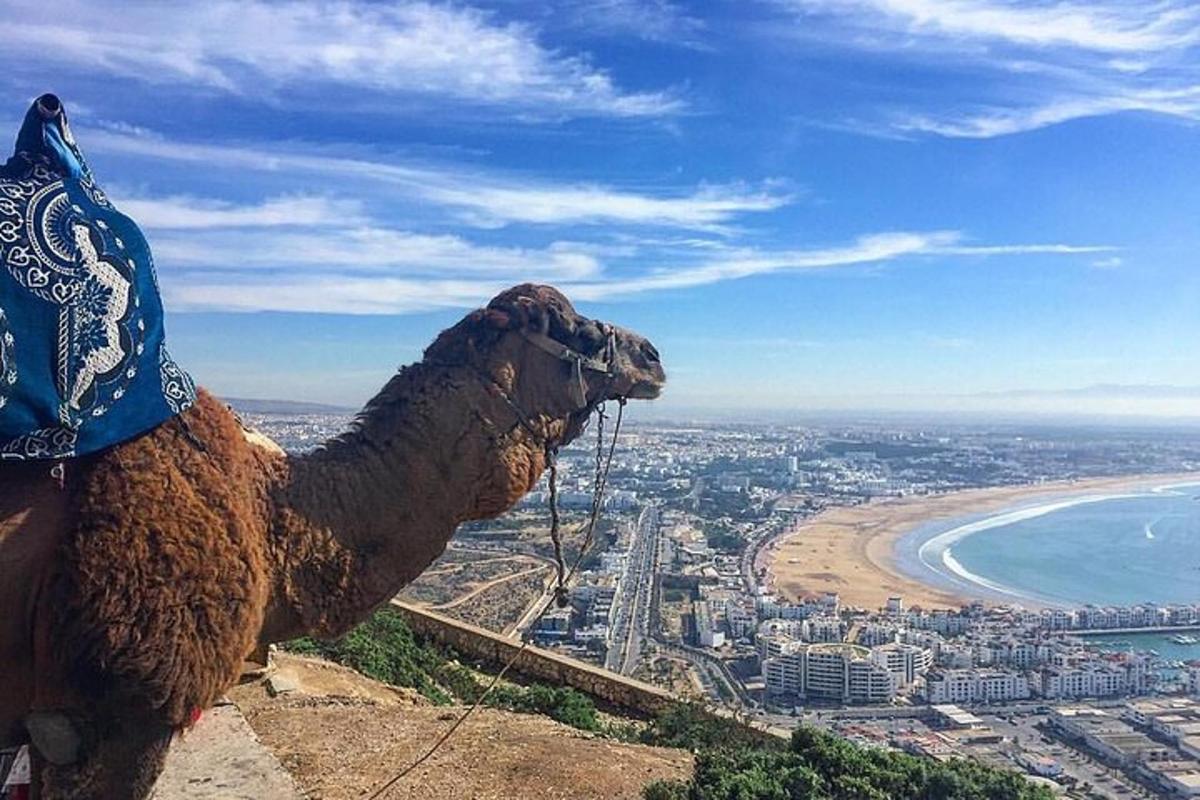 صورة رقم 3 للمعلم السياحي