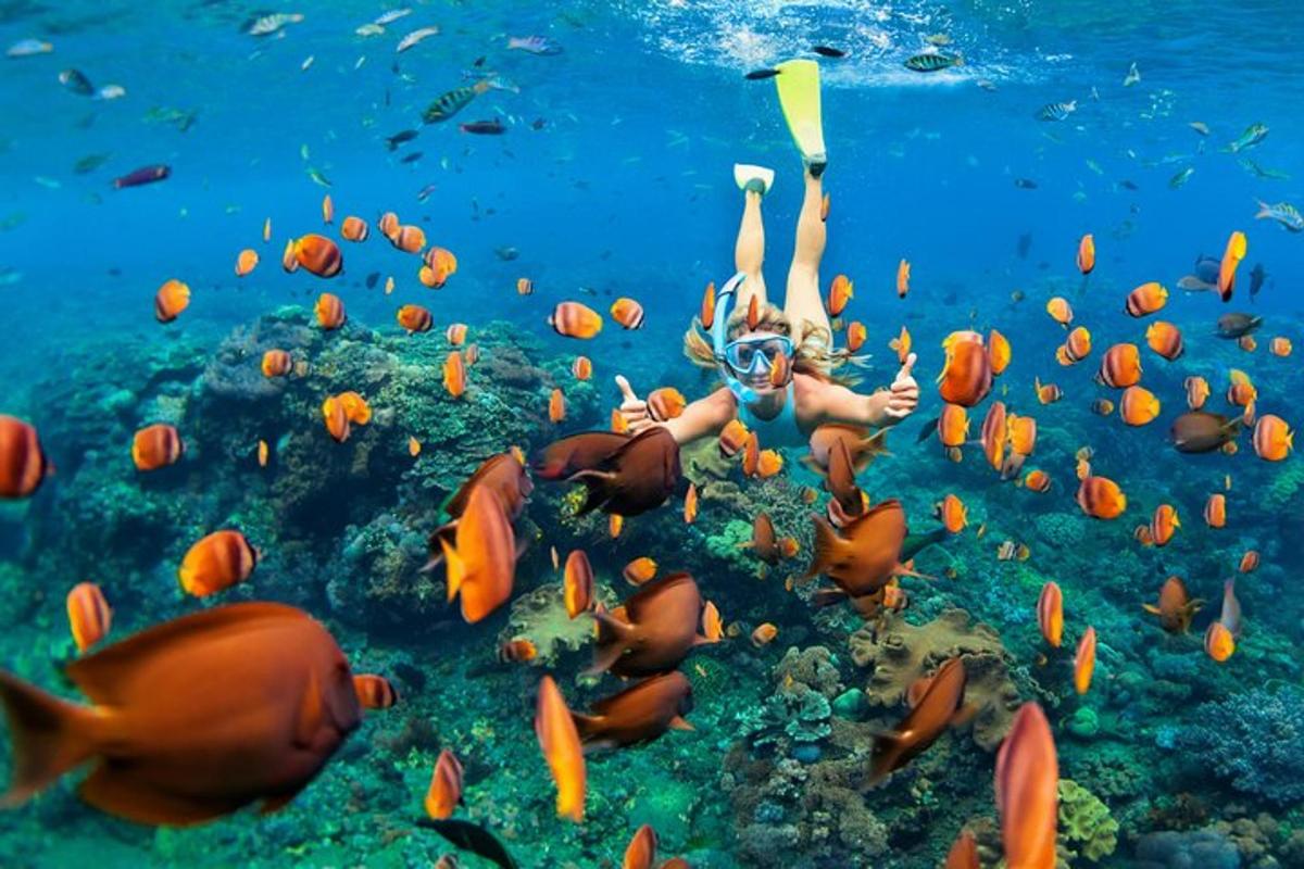 žena plave v oceánu s hejnem ryb