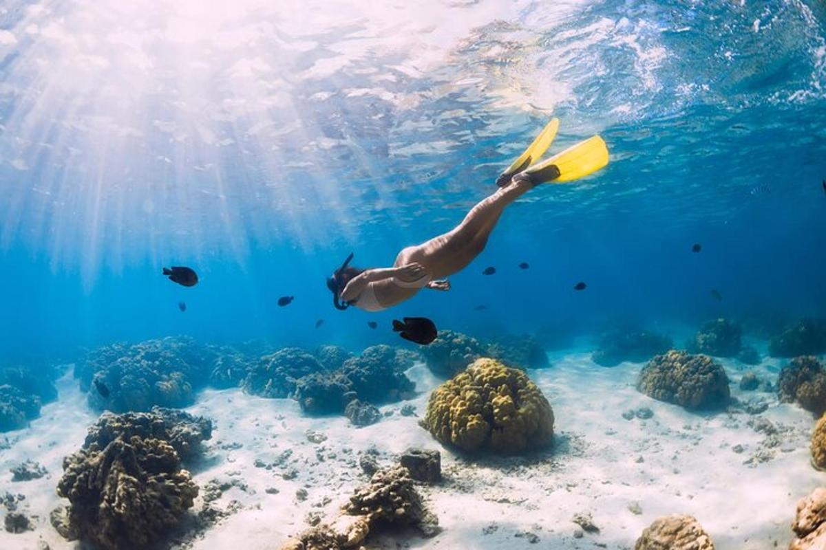 muž plave v oceánu s frisbee