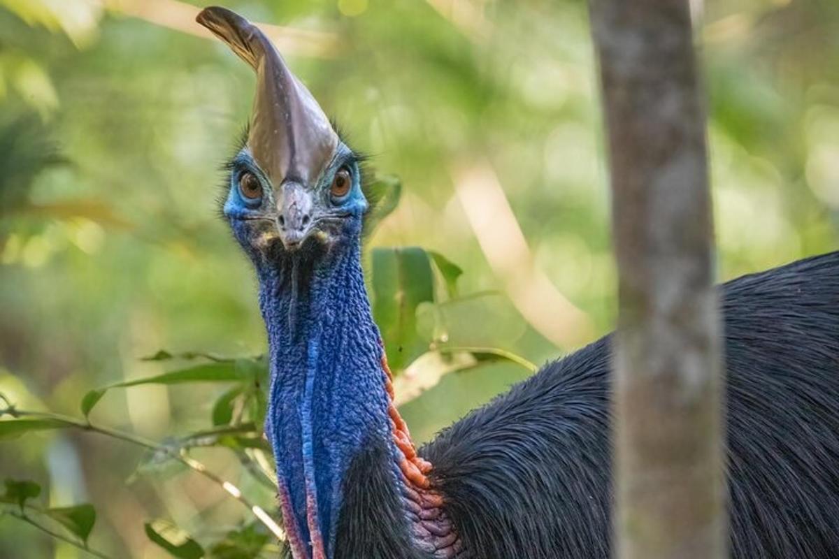 Fotografia da atração 7