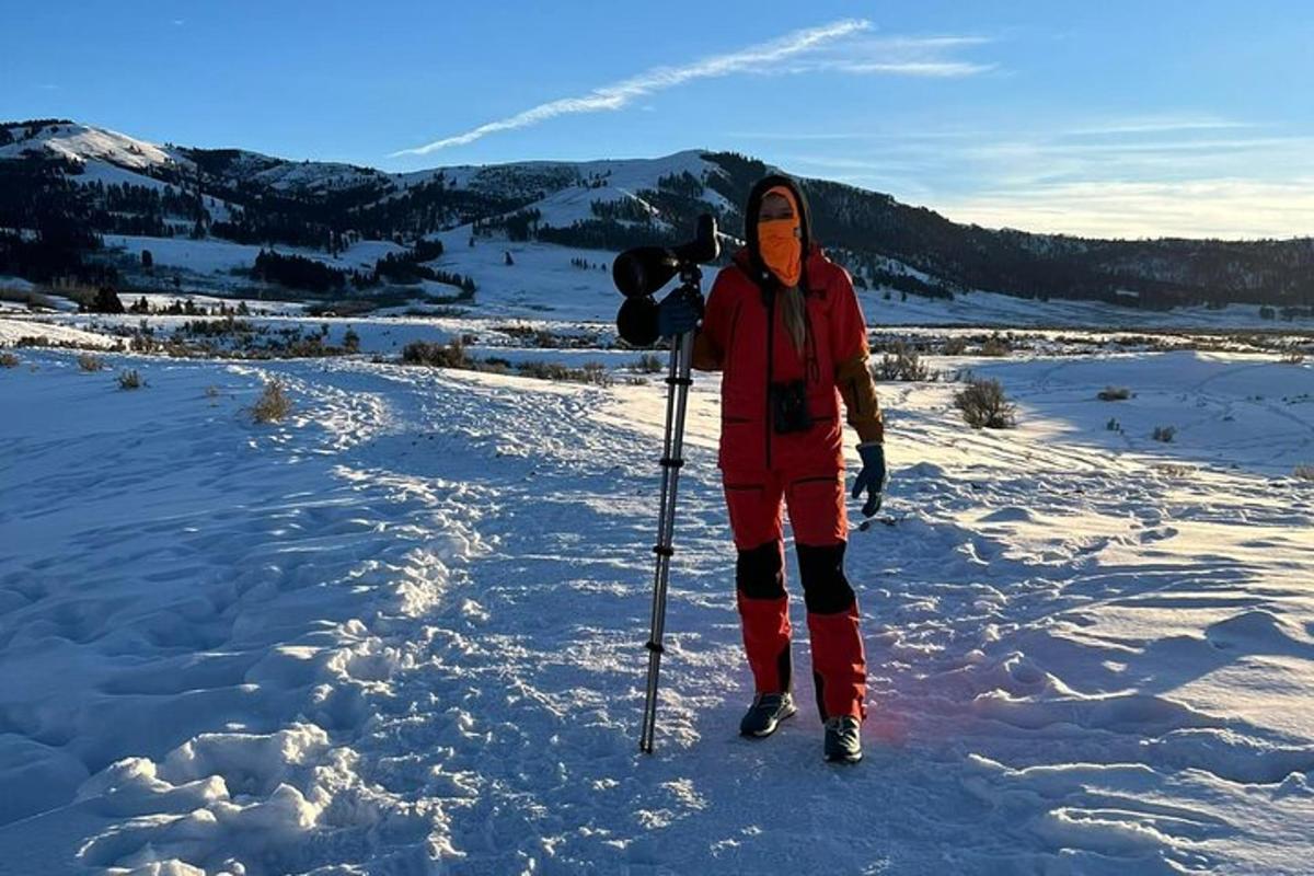 Bilde 4 av attraksjonen