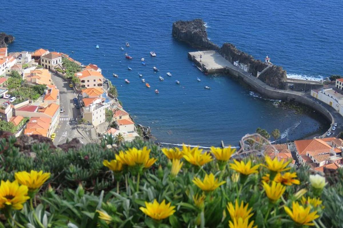 un gruppo di fiori gialli davanti a uno specchio d'acqua