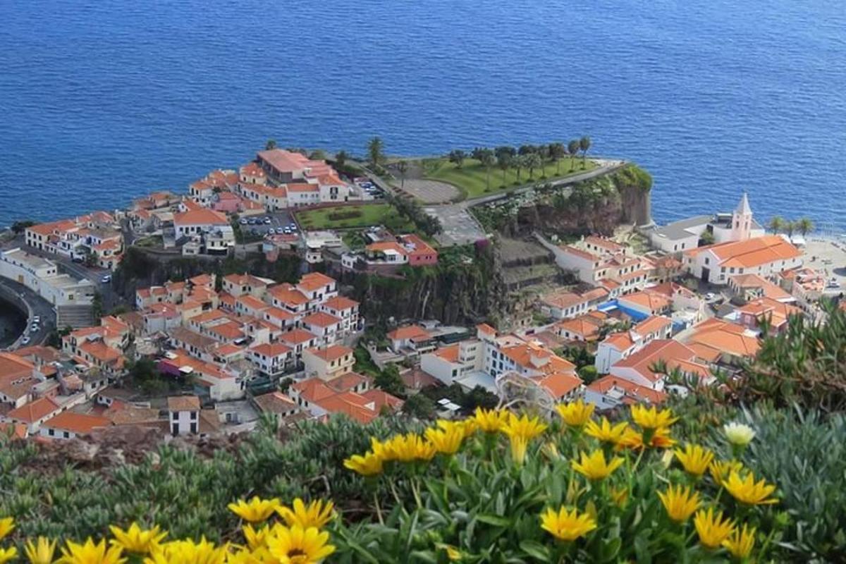 un villaggio su una collina con fiori in primo piano