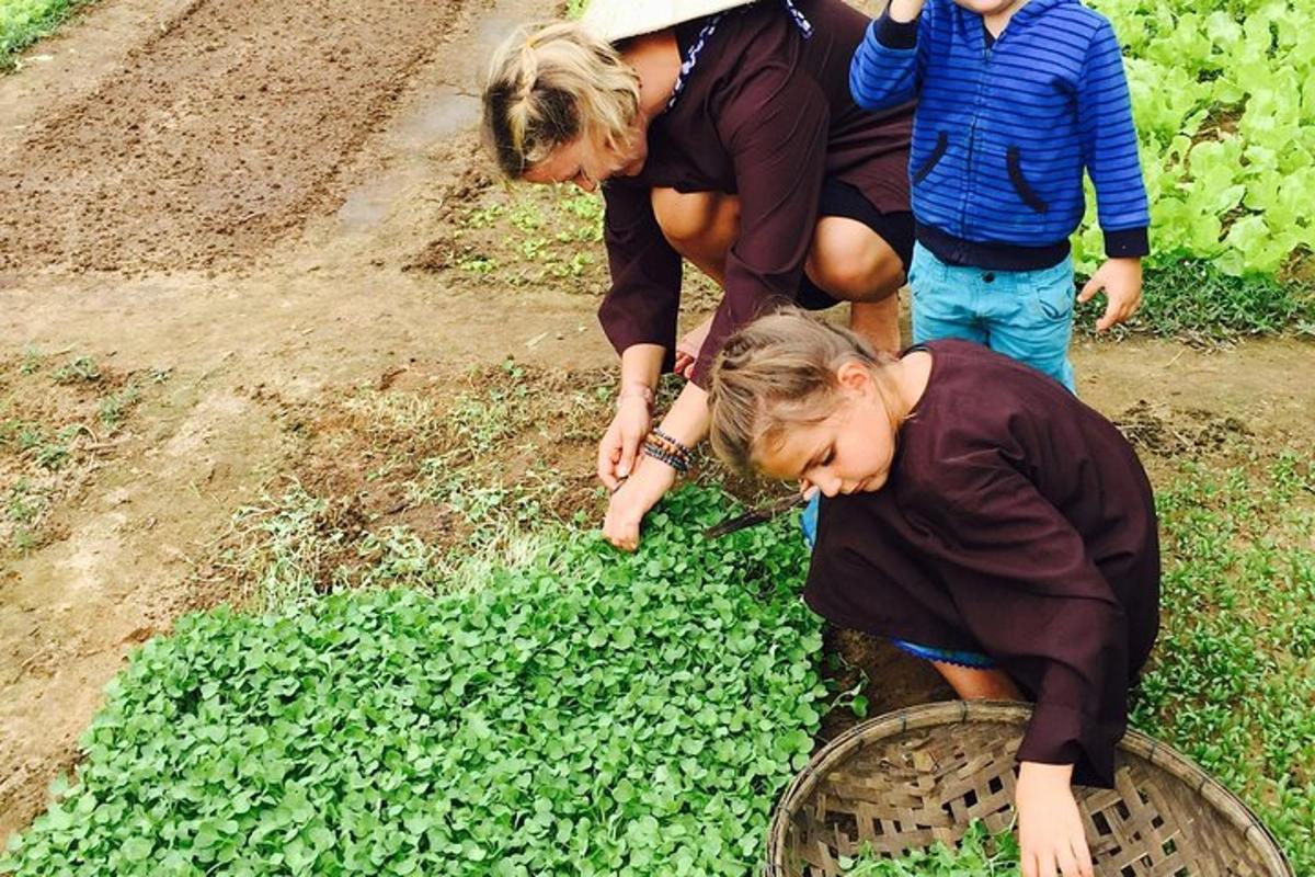 un gruppo di persone che osserva una pianta in un campo