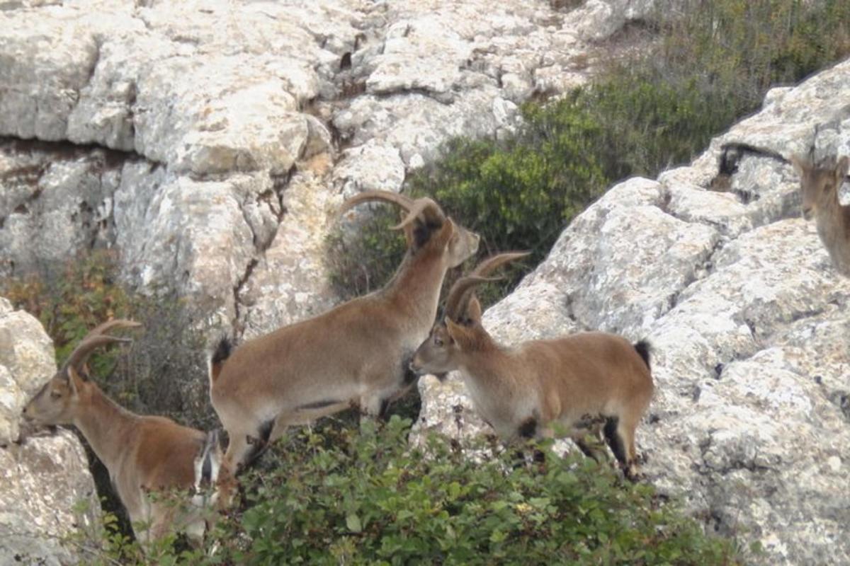 Lankytinos vietos ar pramogos nuotrauka numeris 2