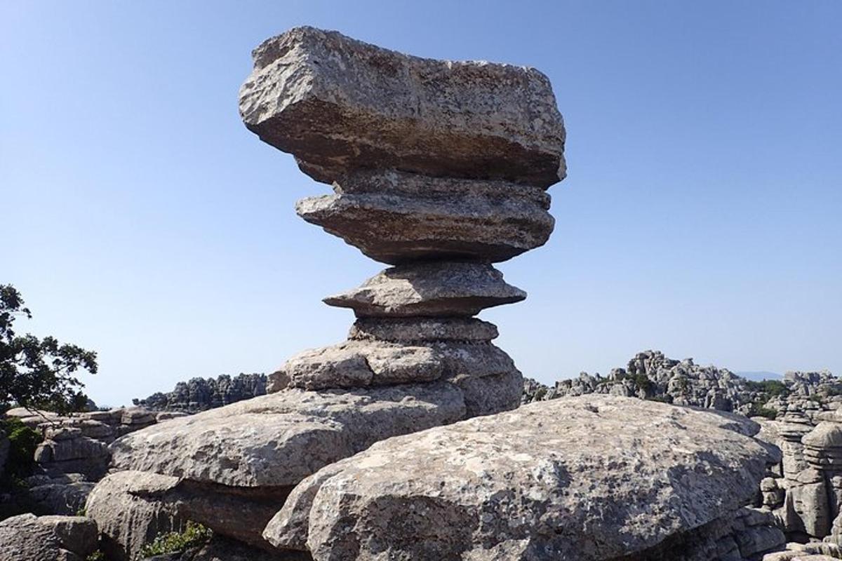 Lankytinos vietos ar pramogos nuotrauka numeris 6