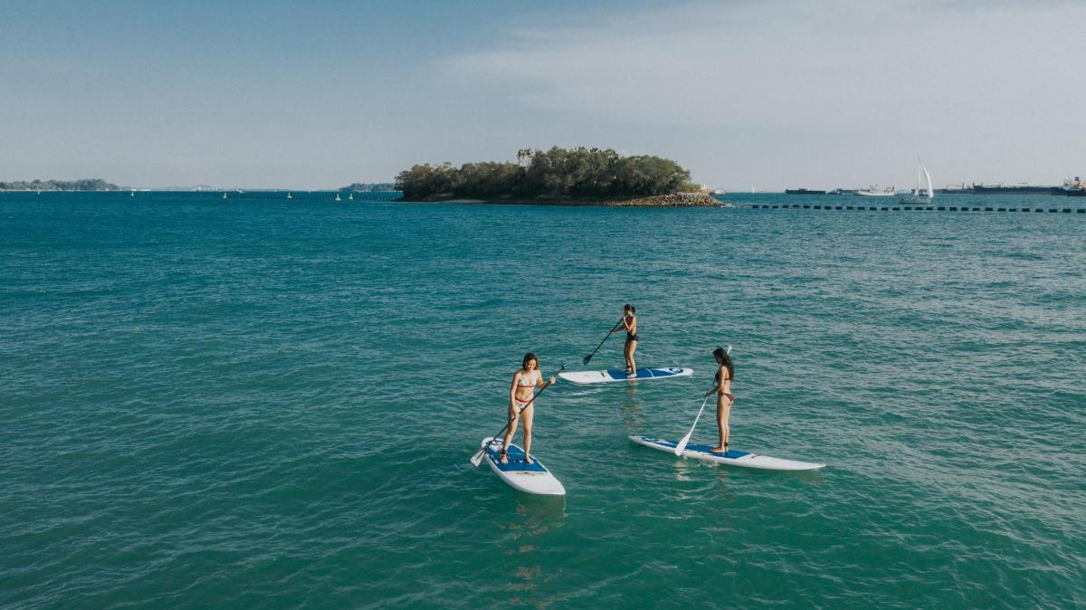 tři lidé stojí na paddleboardech ve vodě