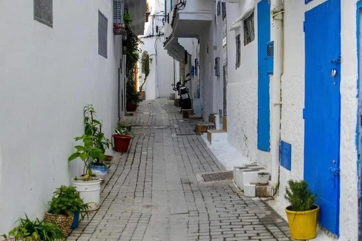 Un callejón con edificios azules y blancos y plantas en macetas.