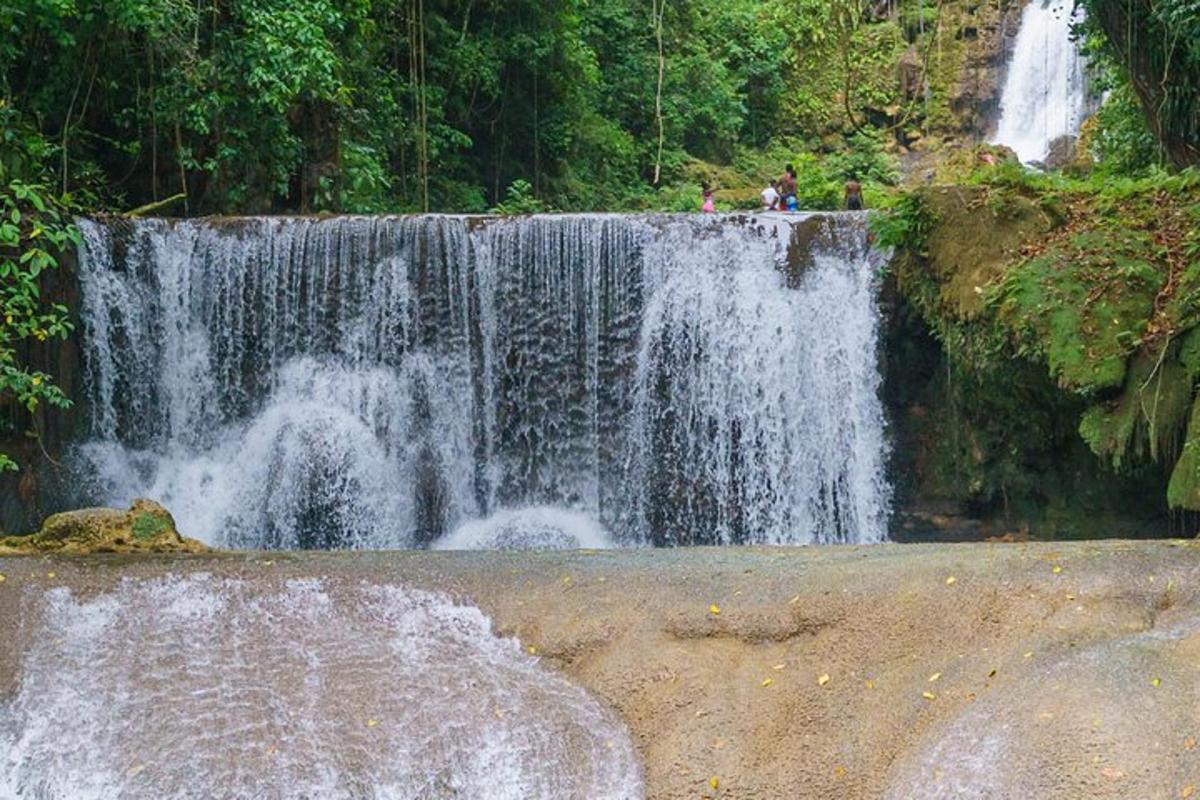 una cascata in una foresta con persone in piedi di fronte ad essa