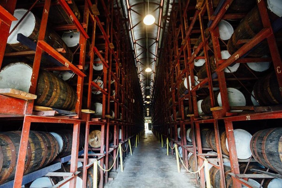 una stanza piena di botti di vino