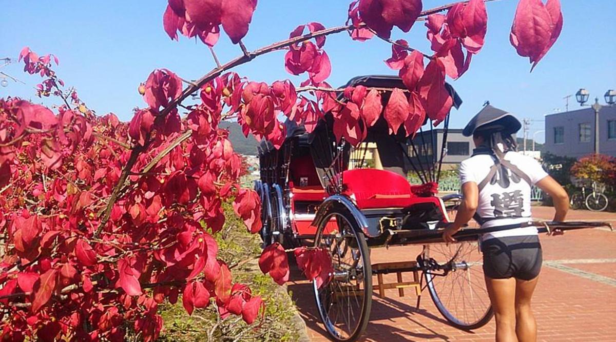 a woman standing next to a red horse drawn carriage